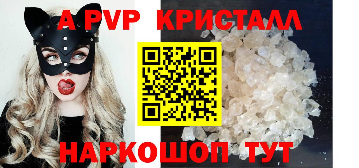 Альфа ПВП СК КРИС Кизилюрт