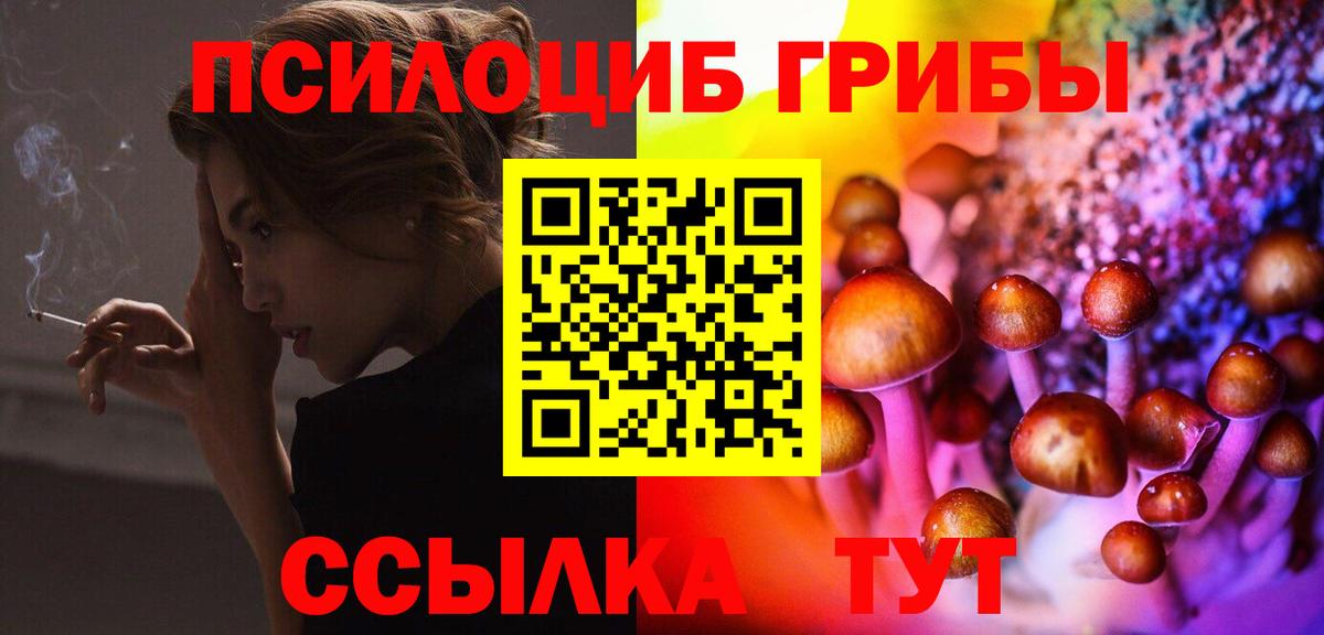 Псилоцибиновые грибы Cubensis Кизилюрт